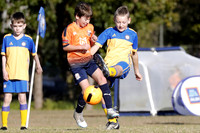 Miniroos U10-Toronto Awaba  JFC 10/01 v Valentine FC 10/01