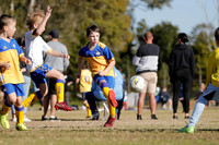 Miniroos U8-Toronto Awaba  JFC 08/03 v Swansea FC 08/03