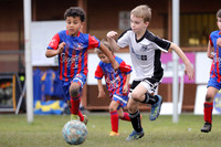 U7s - Tenambit Sharks v Maitland Jnr Messi