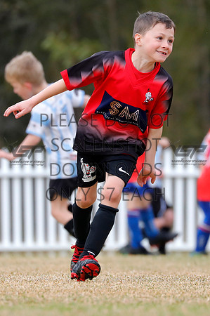D-009