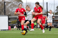 12 Girls - Maitland FC v Broadmeadow Magic