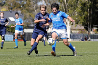 New Lambton v Charlestown Azzurri