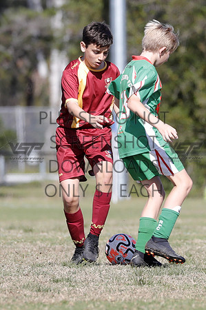 H-050