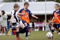 6/7s & Girls - Maitland Magpies v Phoenix Girls