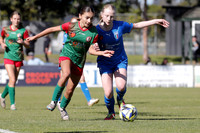 GF-Adamstown Rosebud v Charlestown Azzurri