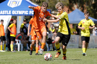 Lambton Jaffas v Valentine FC