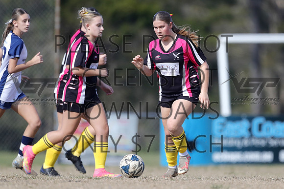 T-020
