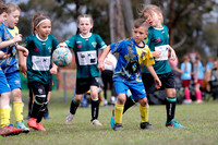 U8s - Metford Cobras v Kahibah Turtles