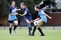 Trial - Adamstown Rosebud v Warners Bay