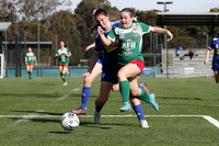 Adamstown Rosebud v Newcastle Olympic