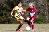 Greta Branxton 09G/01 v Singleton Strikers 09G/01
