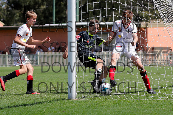 F-146