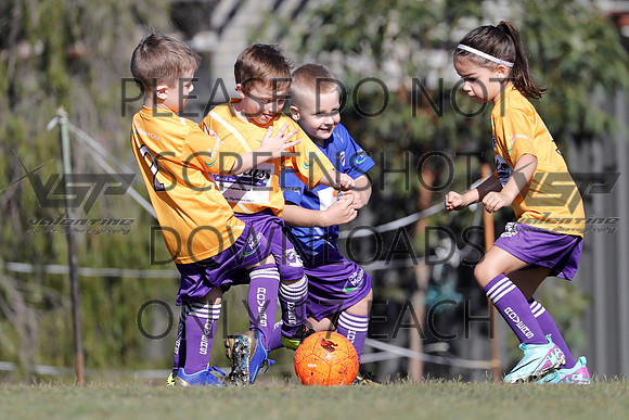 A-024