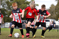 U8s - Thornton Devils v Abermain Rams
