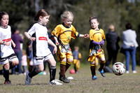 Greta Branxton 06G/01 v Maitland JFC 06G/01
