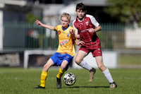 Toronto Awaba v Singleton Strikers