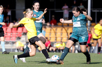 Broadmeadow Magic v Maitland FC