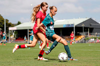 E-016