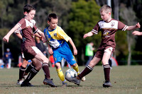 U10s - Metford Cobras v Bolwarra Lorn
