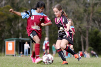 Edgeworth JSC 11G/01 v Warners Bay 11G/01