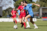 Broadmeadow Magic v Charlestown Azzurri