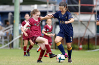 New Lambton v Warners Bay