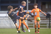 New Lambton Gold v Valentine FC Orange