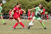 Broadmeadow Magic v Adamstown Rosebud