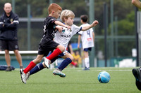 Lake Macquarie Blue v Edgeworth Eagles Black
