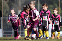 Edgeworth JSC 06G/01 v Warners Bay 06G/01