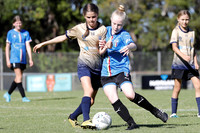 Charlestown Azzurri v New Lambton