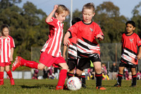 Edgeworth JSC 07/07 v Morisset United 07/01