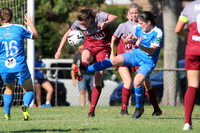 Warners Bay v New Lambton