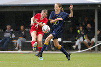 New Lambton v Broadmeadow Magic