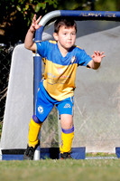 C-009