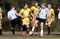 Greta Branxton 08G/02 v Cessnock United 08G/01