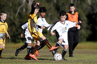 Greta Branxton 08/04 v Maitland JFC 08/08