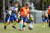 U8s - Metford Cobras v Valentine Messi
