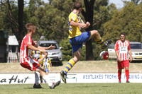 Toronto-Awaba Stags v Morisset Strikers - Feb (Trial)