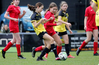 Broadmeadow Magic v Adamstown Rosebud