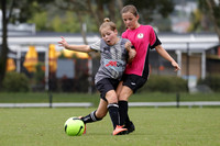 10s/11s Girls - Adamstown Rosebuds 10s v Maitland FC 11s