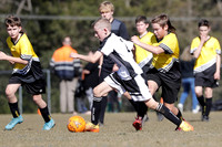 Interdistrict U12 (D) - Maitland JFC v Medowie FC