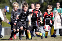Edgeworth JSC 06/03 v Dudley Redhead 06/03