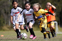 Greta Branxton 07G/02 v Maitland JFC 07G/04