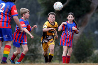Greta Branxton 11/03 v Tenambit Sharks 11/01