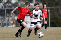 Mini Roos 11s - Maitland JFC v Thornton JFC