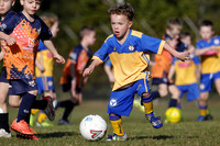 Toronto Awaba JFC Jul2025