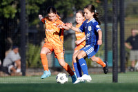 Newcastle Olympic v Valentine FC
