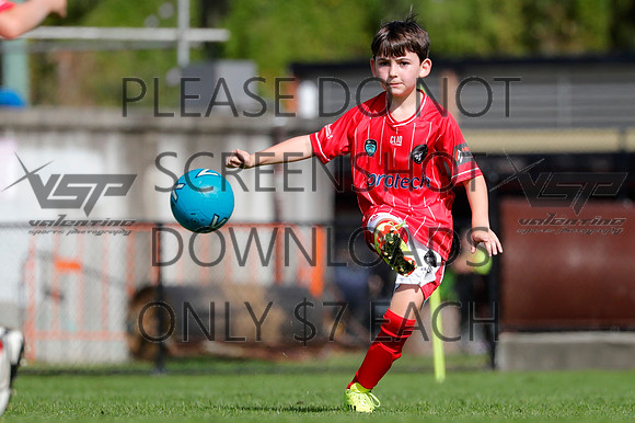 D-040