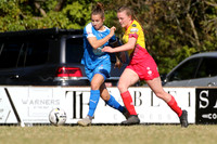 SF - New Lambton v South Wallsend